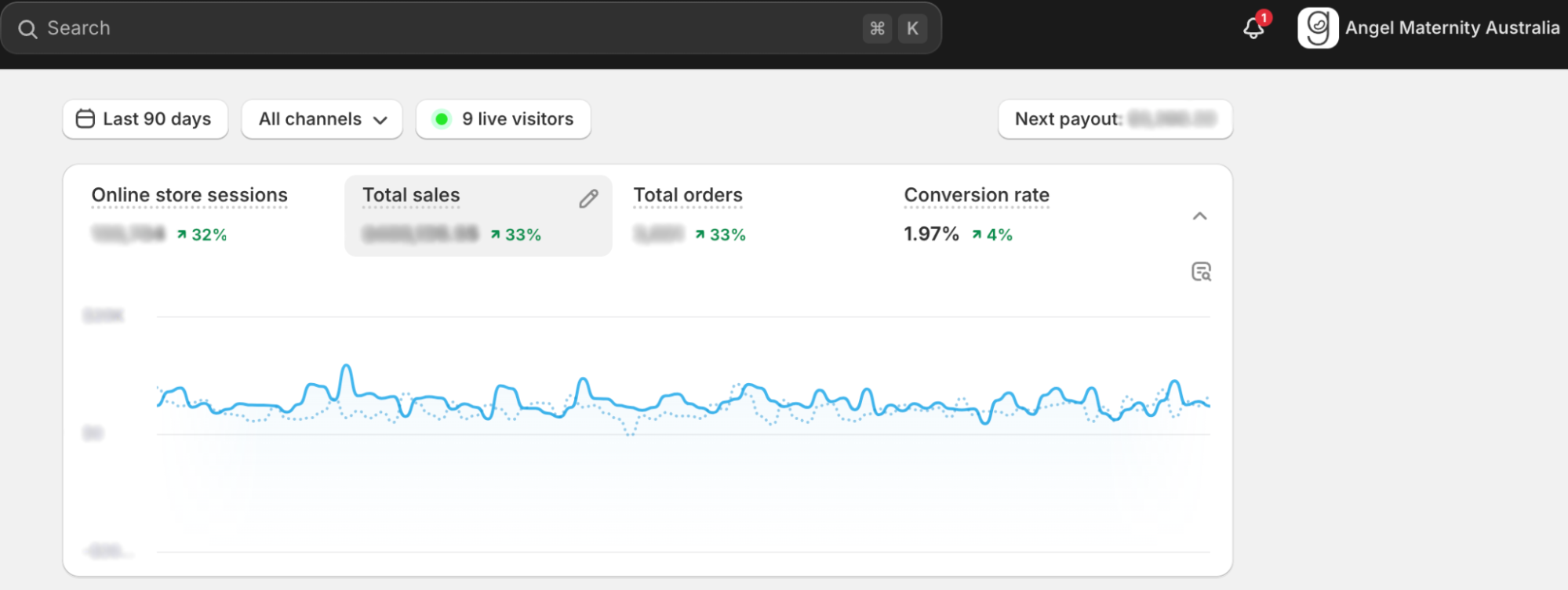 Angel Maternity Shopify Analytics