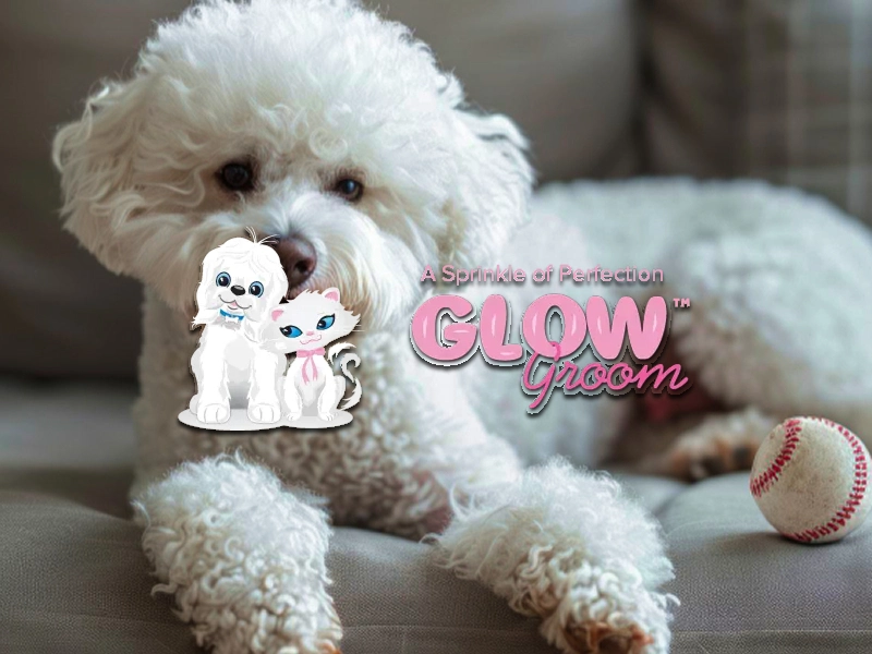 Glow Groom